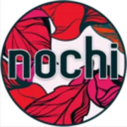 Logo of the Nochi michigan game studio